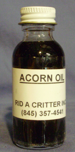 ACORN OIL / BEAR, RACCON, DEER