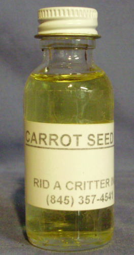 CARROT SEED OIL