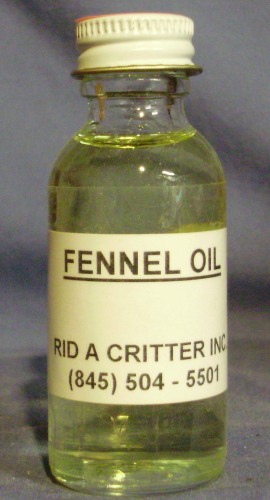 FENNEL OIL